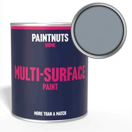 PaintNuts Multi-Surface Paint - RAL-7001 - SILVER GREY - 250ml Tin - Gloss Finish
