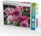 CALVENDO Puzzle Dahlien - Prachtvolle Blüten des Spätsommers | 1000 Teile Lege-Größe 64 x 48 cm Foto-Puzzle für glückliche Stunden