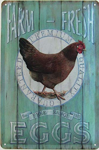Blechschild 20x30cm gewölbt Farm Fresh Eggs Free Range Eier Hühner Deko Geschenk Schild