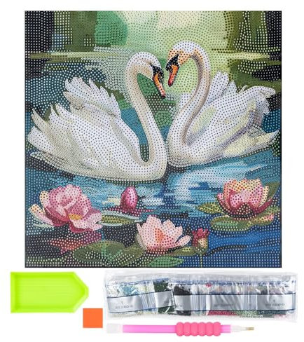 Ideen mit Herz Diamond-Painting-Motivleinwand auf Keilrahmen | 30 cm x 30 cm | Set inkl. Werkzeug (Schwäne)