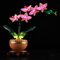 MENZAVA Kit d'éclairage LED Compatible avec Lego 10343 L’orchidée Miniature Botanical Collection - Jeu de lumière LED pour Modèle de Blocs de Construction (Modèle Non Inclus)