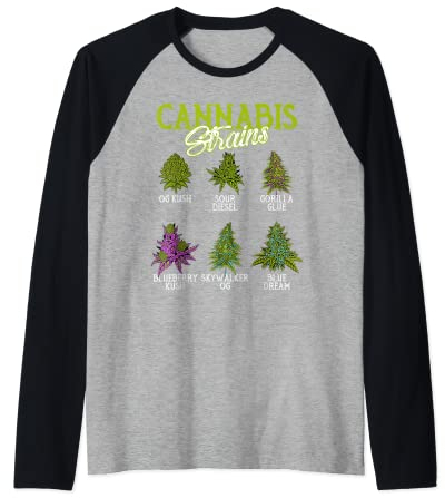 Variété de cannabis, cannabis, cannabis, marijuana Manche Raglan