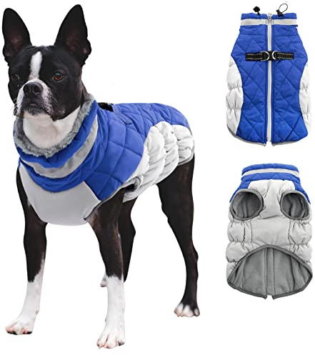 CITÉTOILE Hundemantel für Kleine Hunde,Hundemantel Winter mit Geschirr, Warme Hundejacke, Hundemantel Wasserdicht mit Fleece Gefütterte, Winddichtes Reflektierend Winterweste für Dackel, Bulldogge