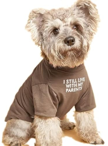 Cute Dog Clothes T Shirt for Medium Dog and Small Dogs Girl Boy,Puppy.Breathable Soft Dog Costume for Pet Dogs Cats, Pet Pullover Jumper, Cat Clothes (XL-(16~20lb), Chest~20, Khaki)