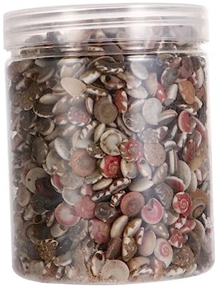 PRETYZOOM 1 Packung Schneckenhäuser Zum Basteln Miniaturgehäuse Blumendekor Muschelperle Kleine Muscheln Natürliches Fischbecken Aquarium- Schalenzubehör Kerze Kleine Schnecke Gefesselt