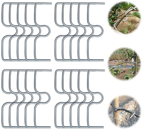 Yaclonq 20 Stück Astzieher Halter für Obstzweige,M-Förmiger Astspreizer,Astbiegewerkzeug,Pflanzenstütze für Gartenzweige,Pflanzenstütze für Gartenzweige,Starker AST Astspreizer für Obstbäume Set