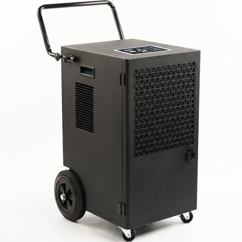 Kalopsia Deumidificatore Casa Muffa Professionale: Potente 120L/Giorno