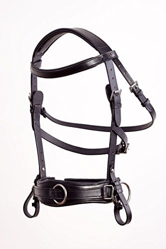 Kappzaum Royal Comfort Black Crownclub Warmblut WB FULL
