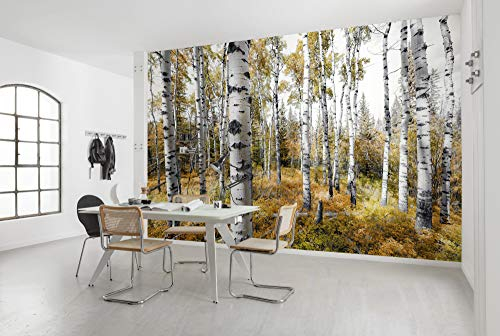 Komar Vlies Fototapete COLORFUL ASPENWOODS | Tapete, XXL, Dekoration, Natur, Landschaft, Schlafzimmer, Wohnzimmer, Büro, Flur | Größe 450 x 280 cm (Breite x Höhe) | SHX9-015