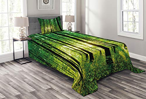 ABAKUHAUS Wald Tagesdecke Set, Grüner Wald Sonnenaufgang, Set mit Kissenbezügen Waschbar, für Einzelbetten 170 x 220 cm, Grün Schwarz