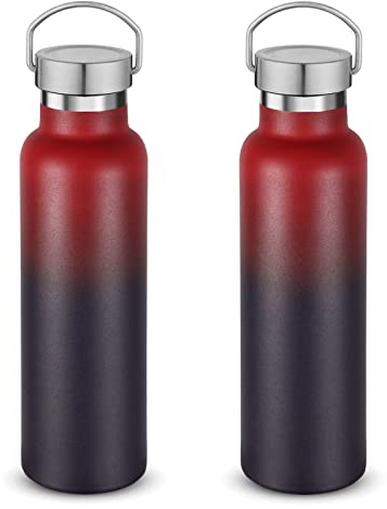 Volhoply 600ml Insulated Water Bottles Bulk Two Pack,Stainless Steel Double Wall Sport Bottle with Lid of Handle,Metal Reusable Flask for School,Cyclists,Hikers,Gift (Dark Rainbow,Set of 2)
