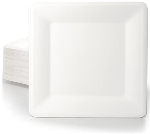 wisefood Zuckerrohr Teller - 200 Stück Bagasse Einwegteller quadratisch 20cm - Einmal Pappteller ideal als Partyteller oder Speiseteller - Nachhaltiges Zuckerrohr Geschirr ohne PLA/PE