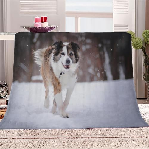 Walisischer Schäferhund Kuscheldecke Flauschig 150x200 Hund Tier Weich Sofadecke Kuschelig Decke Warm Winter Flanelldecke Wohndecke Schlafdecke personalisierte Decke Tagesdecke couchdecke