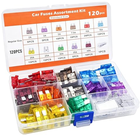LUDHEP Kit 120 Fusibili Auto Standard, Assortimento 2A-40A con Pinzetta, Piatti Medi Fusibili Automobilistici, per Auto, Camion e Moto