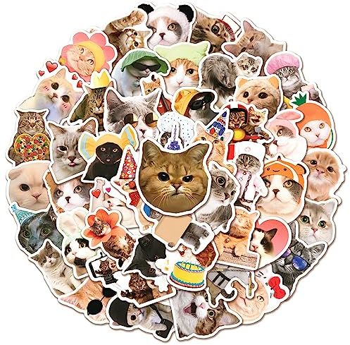 Funny Katze Aufkleber Katze Sticker Set 50 Stücke Niedlich Deko für Auto Laptop Skateboard Fahrrad Moped Motorrad Fahrrad Computer,Geeignet für Erwachsene Kinder