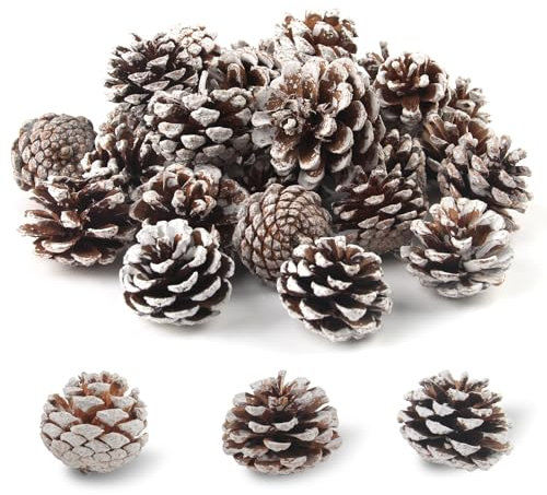 Xbessc 32 Piezas 3-4cm Piñas Decorativas Conos de Pino Naturales Piña Decoracion Navidad con Puntas Blancas Piñas de Pino para árboles de Navidad Coronas de Adviento Decoraciones de Regalo de Mesa