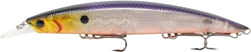 Veitwitch Junior Länge: 9,5cm / 11,5g von SEIKA Pro/Fishing Tackle Max (Roach)
