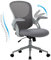 COLAMY Bürostuhl mit gepolsterter 90° hochklappbarer Armlehne, Lendenwirbelstütze, höhenverstellbarer ergonomischer Schreibtischstuhl, drehbarer Computerstuhl, bequemes Sitzkissen, Grau