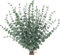 HhBdy 30 Stück Eukalyptus Getrocknet 41 cm Getrockneter Eukalyptus Dekoblumen Natürliche Trockenblumen für Hochzeit Eukalyptus Deko für Hochzeit, Blumen Arrangements Heim Décor