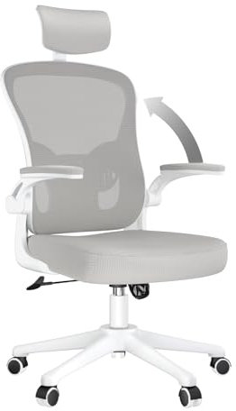 naspaluro Office Desk Chair with Flip-Up Armrest High Back Ergonomic Computer Chair with Adjustable Headrest and Lumbar Support Executive Swivel Chair for Home and Office - Gray