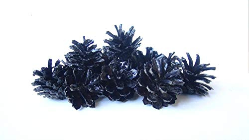 DIY Art Studio 25 schwarze Tannenzapfen, Halloween-Dekor, schwarze Tannenzapfen, Gothic-Dekoration, Gothic-Hochzeiten, Steampunk-Dekoration