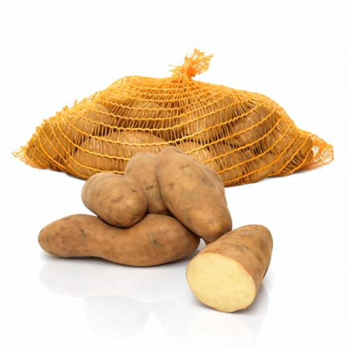 FRUCHTVERSAND24® Speisekartoffeln Hörnchenkartoffel Bamberger Art, 10kg, festkochend, Handelsklasse EXTRA, Lüneburger Heide, unbehandelt und ungewaschen, fingerförmige Knollen
