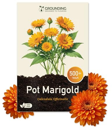 Grounding - Ringelblume Samen Mix in Orange & Gelb, 500+ Samen, Höhe 30 cm. Calendula officinalis perfekt für Balkon, Beete und Rabatten – Einfache Aussaat – Europäische Qualität