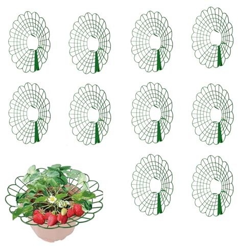 Erdbeerreifer, 10 Stück Schneckenschutz Erdbeerturm, Durchmesser: 29 Cm, Erdbeergitter Fruchtreifer Aus Kunststoff Für Rankhilfe Für Treibhaus, Erdbeeren, Gemüse & Blumen, Topfpflanzen (10 Stücke)