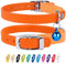 CollarDirect Collier pour Chat en Cuir, Collier de Sécurité avec Sangle Elastique, Collier pour Chaton avec Cloche Noir Bleu Rouge Orange Vert Lime (Orange, 15-18 cm)