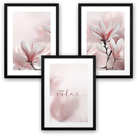 Kreative Feder 3-teiliges Premium Poster-Set | Magnolie | Deko Bild für Ihre Wand | optional mit Rahmen | Wohnzimmer Schlafzimmer Modern Fine Art | DIN A4 / A3 (A4, schwarzer Rahmen)