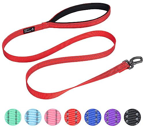 EXCELLENT ELITE SPANKER Starke haltbare reflektierende Hund Gassi gehen Leine Traktion Seil 4 Meter lang 3/4 breit mit bequemen gepolsterten Griff für kleine Hunde(Red)