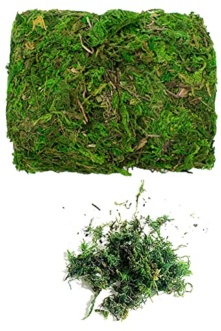 Fausse Mousse,200g Mousse Naturelle Séchée Mousse Artificielle Mousse Verte pour Artisanat Gazon de Jardin Réaliste pour Maison Jardin Patio Décoration Plantes en Pot Centres Table Terrariums Décor