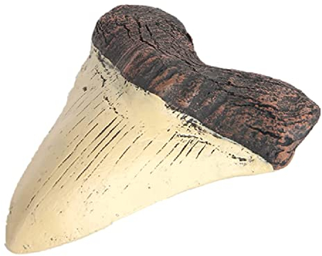 Iegefirm Megalodon Fossil Riesenzahn Megalodon Harz Nachbildung