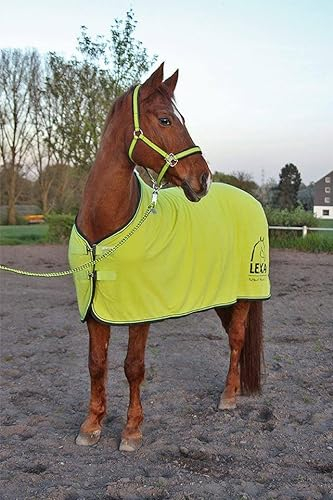LEXA Eskadron Abschwitzdecke XXL