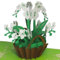LINPOPUP®, LIN17614, Pop Up Karten Blume, POP UP Karten Geburtstag, Geburtstagskarte, 3D Grußkarten Blume Klappkarte, Viel Glück, Gute Besserung, Wellness Gutschein, Orchidee, N357