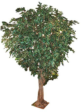 Artificielles.com - Giant Artificial Ficus Benjamina - Height 350 cm x Length 220 cm - 9280 leaves on platinum - Height 350 cm - Colour: Green