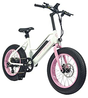 Highphoria Elektrofahrrad Kinder 20 Zoll, Fat Tire E-Bike für Kids, 25 km/h 100km E-Mountainbike Elektro Fahrrad mit 48V 250W Motor, 7-Gänge Pedelec (Weiß/Rosa)