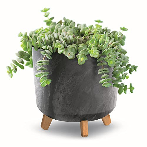 botle Vaso da fiori con piedini, diametro 30 cm, colore antracite, in plastica, con inserto effetto cemento, vaso per soldi, cactus, albero di gomma
