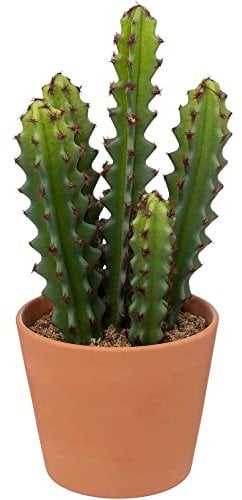Atmosphera - Cactus Artificiel Ali - H25 cm