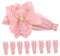 NUOBESTY 10 Pezzi Bouquet Di Carta Crepon Decorazione Di Tela Di Sfondo Fiore Muro Fiore Artigianale Carta Fiore Rosa Pallido Fiori Messicani Di Carta Grande Arrossire Matrimonio Sposa