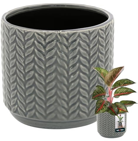 KOTARBAU® Blumentopf Grau aus Keramik - Rund ⌀ 12 cm Höhe 12,5 cm Glasiert - Großer Blumenübertopf Pflanztopf Pflanzkübel