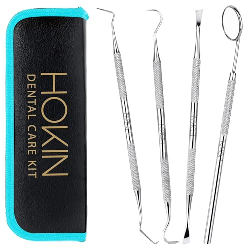 HOKIN Plaque Remover Teeth Cleaning Tool 4 Pcs Dental Care Kit Tooth Filling Repair Set Stainless Steel Dental Tools for Men Women Kids and Pet Care (Aqua Blue)