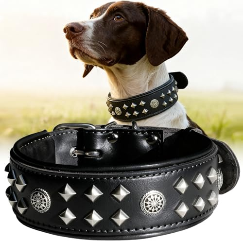 EliteGuard Hundehalsband Leder, 5,6 cm Breit, Handgefertigt Mit Nieten Und Edelstahlschnalle, Für Den Täglichen Gebrauch Bei Großen Hunden, Schwarz 45.5-56 cm