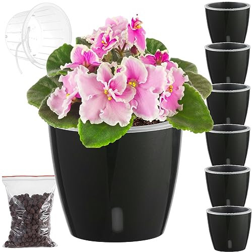 6.7 Inch Self-Watering Pots for Indoor Plants With Indicator - Transparent Wick Pot for Orchids and African Violets - 6-Pack Small Self-Watering Planter