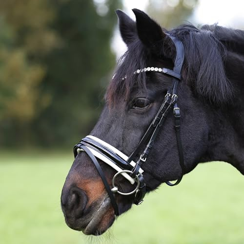 Heinick Trense Motion Lack Schnallen Weiss Schnellwechselsystem ~ Warmblut ~