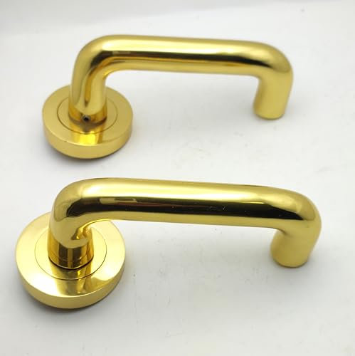 Lever on Round Rose Regalo Door Handle in Polish Brass from EUROART