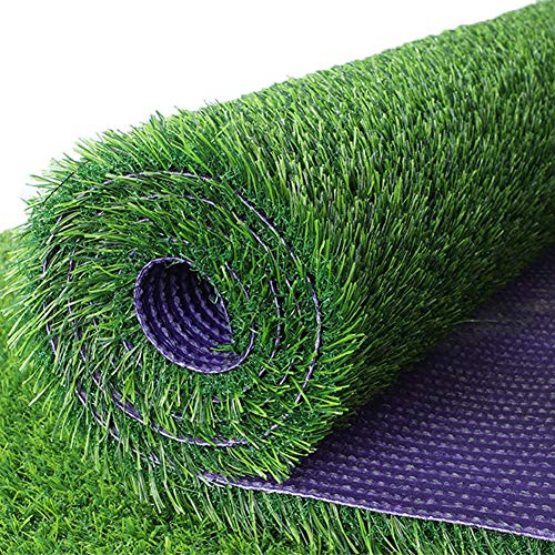 JHNEA Kunstrasen, 2.5cm Kunstrasenteppich mit Drainagelöchern und Rutschfester Gummi Rasenteppich für Drinnen/Draußen/Garten,10x2m/30x6ft