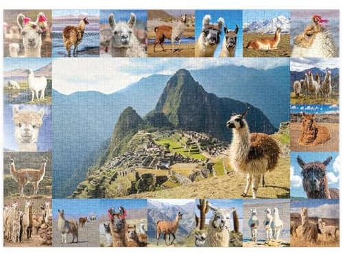 MyPuzzle Lamas und Alpakas - Collage No. 1 - Premium 1000 Teile Puzzle - MyPuzzle Sonderkollektion von Starnberger Spiele
