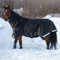 Horseware Amigo Super Bravo Plus Medium 250g - Black