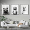 3 Bilder Badezimmer Tiere Lustige Poster Toilette Bilder Schwarz Weiß Tiere Waschbär Otter Fuchs Witzige Klo Bilder Deko Wand Toilette Gästebad Gästeklo Gäste WC Modern Leinwand 30x40 ohne Rahmen